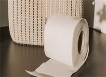 衛(wèi)生紙中的植物纖維有哪些