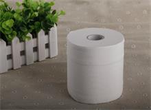 衛(wèi)生紙?jiān)撊绾稳ミx購(gòu)